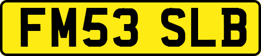 FM53SLB