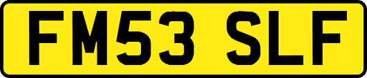 FM53SLF