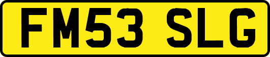 FM53SLG