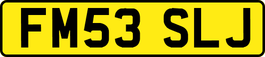 FM53SLJ