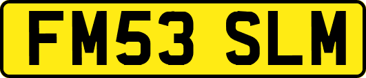 FM53SLM