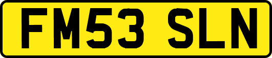 FM53SLN