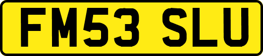 FM53SLU