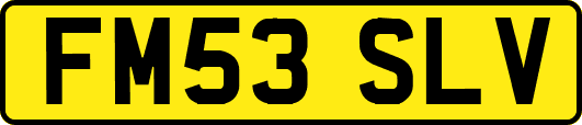 FM53SLV