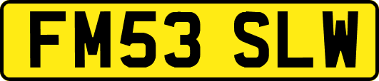 FM53SLW