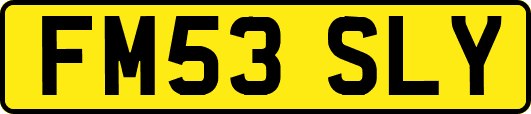 FM53SLY