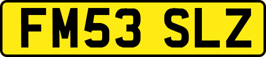 FM53SLZ