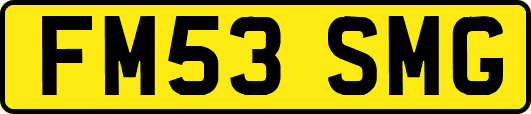 FM53SMG