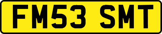 FM53SMT