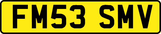 FM53SMV