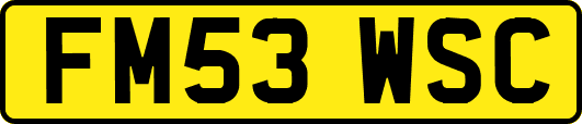 FM53WSC