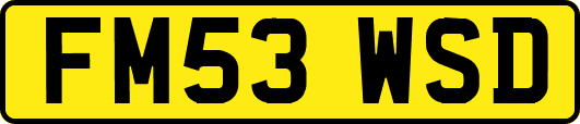 FM53WSD