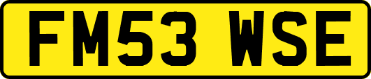 FM53WSE