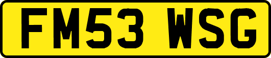 FM53WSG