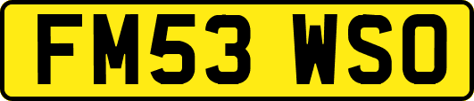 FM53WSO
