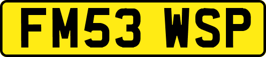FM53WSP