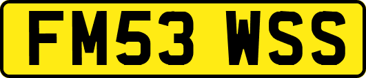 FM53WSS