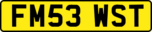 FM53WST