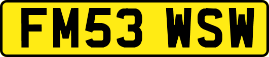 FM53WSW