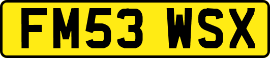FM53WSX