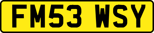FM53WSY