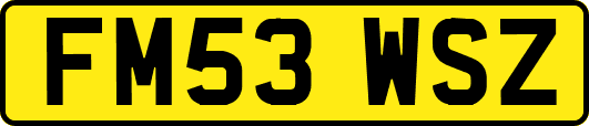 FM53WSZ