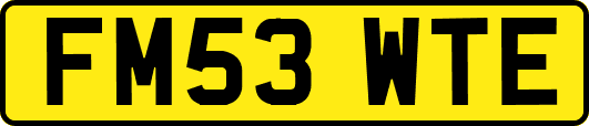 FM53WTE