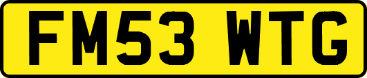FM53WTG