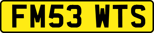 FM53WTS