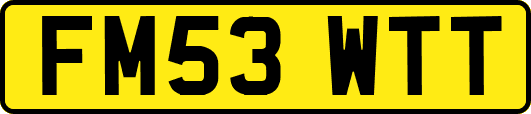 FM53WTT