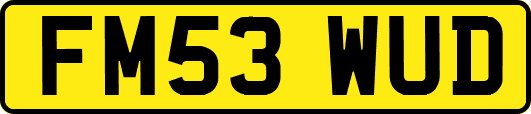 FM53WUD