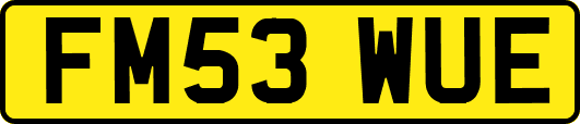 FM53WUE