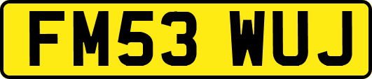 FM53WUJ