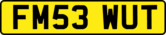 FM53WUT