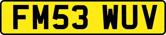 FM53WUV