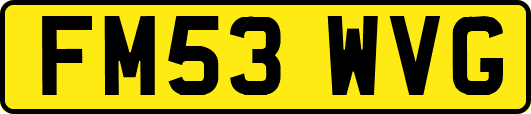 FM53WVG