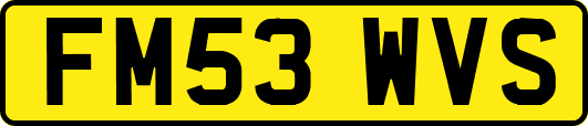 FM53WVS