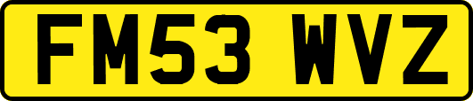 FM53WVZ
