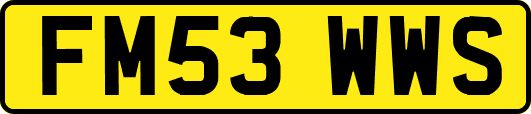 FM53WWS