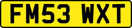 FM53WXT