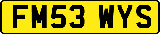 FM53WYS