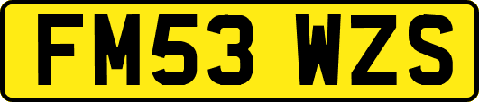 FM53WZS
