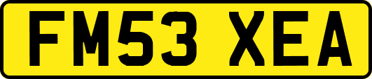 FM53XEA