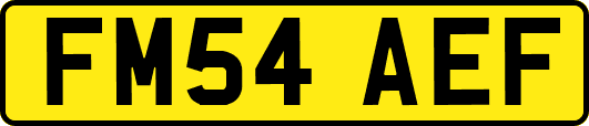 FM54AEF