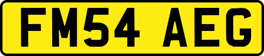 FM54AEG