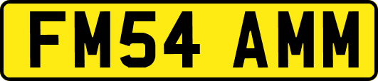 FM54AMM