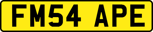 FM54APE