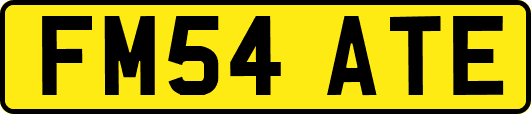 FM54ATE