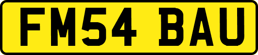 FM54BAU