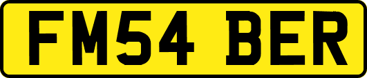 FM54BER